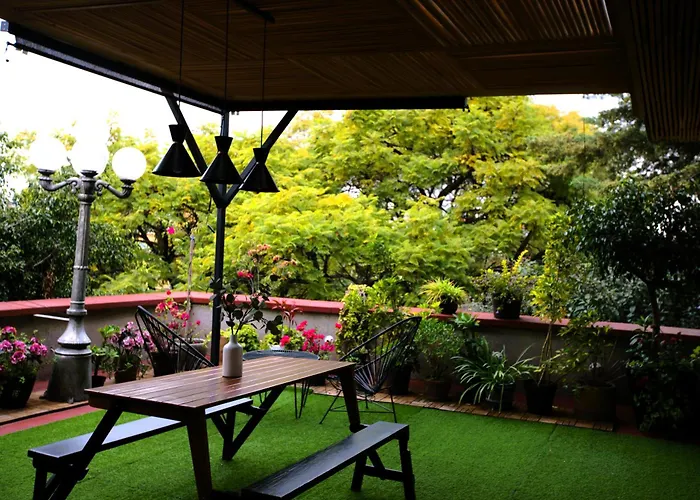 En Condesa Morada Luna 7
